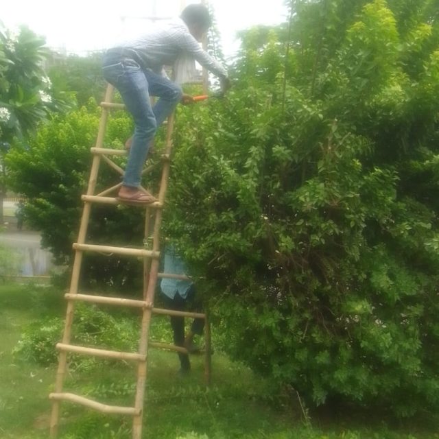 WhatsApp Image 2025-04-08 at 12.53.10 PM