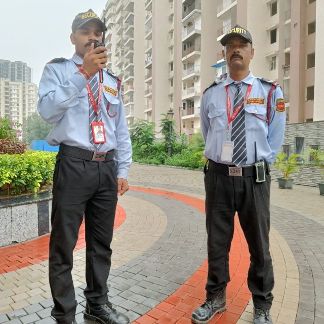 WhatsApp Image 2025-04-08 at 12.55.16 PM (1)