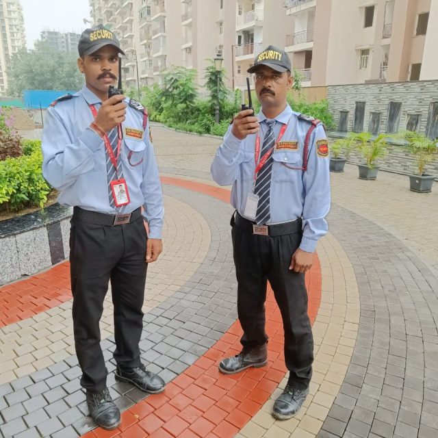 WhatsApp Image 2025-04-08 at 12.55.17 PM